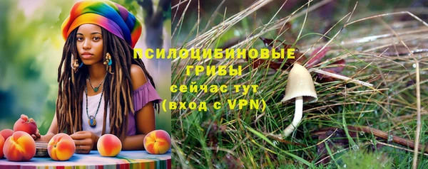 герыч Алексин