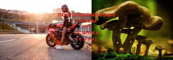 герыч Алексин