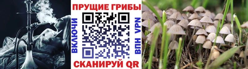 Псилоцибиновые грибы ЛСД  цены наркотик  Железногорск 